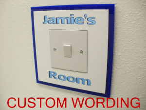 Designer Light Switch Surrounds